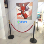 Cột chắn màu đen đầu tròn inox mạ vàng dây trùng